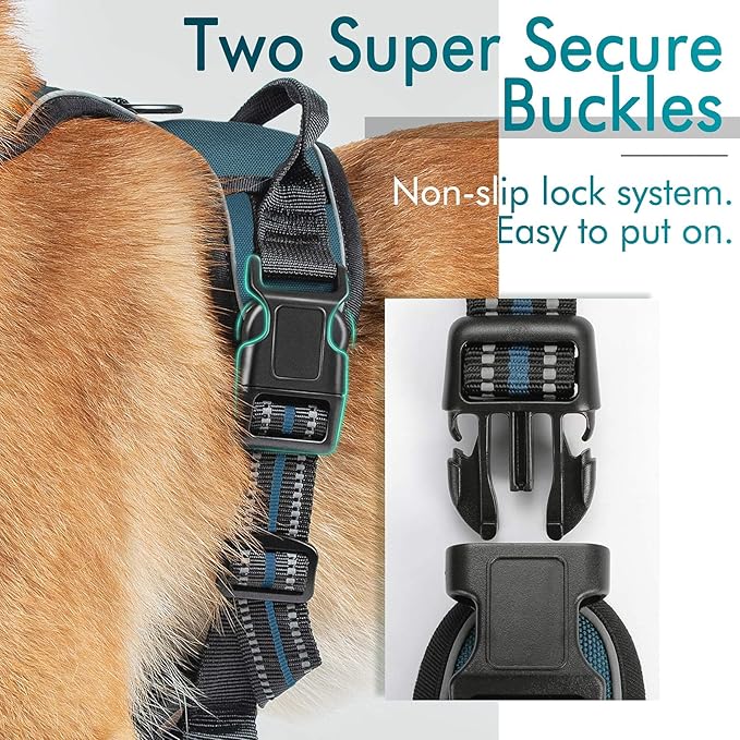 rabbitgoo Dog Harness No Pull - Image 3