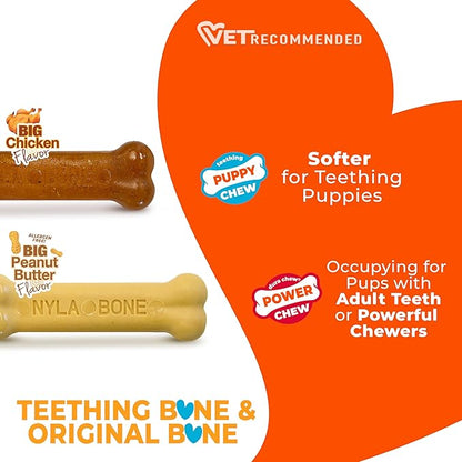 Nylabone New Puppy Power Chew Stages, Soothing Puppy Teething Toys, Chew Bones - Image 5