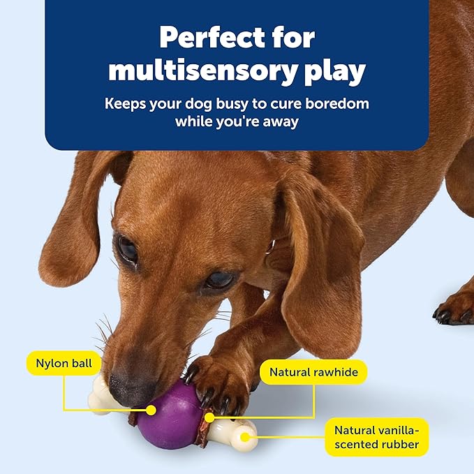 PetSafe Busy Buddy Bouncy Bone, Treat Holding Dog Toy - Image 4