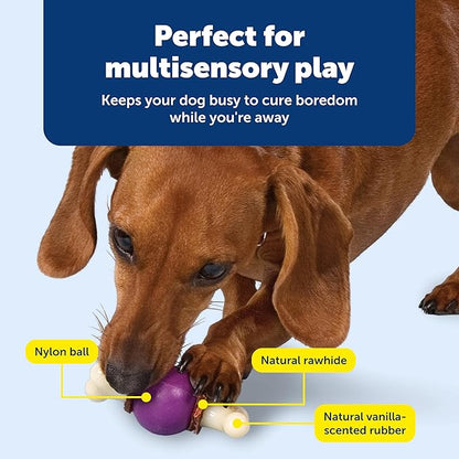 PetSafe Busy Buddy Bouncy Bone, Treat Holding Dog Toy - Image 4