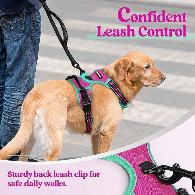 rabbitgoo Dog Harness No Pull - Image 6