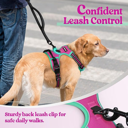rabbitgoo Dog Harness No Pull - Image 6