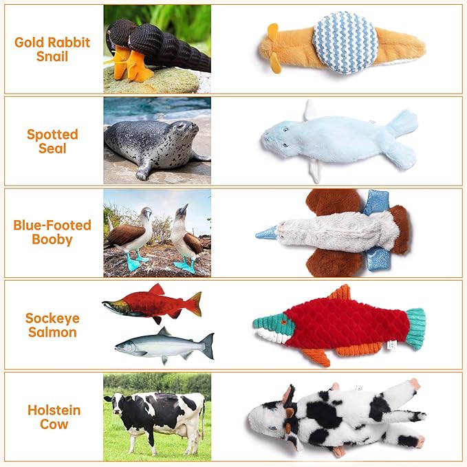 Nocciola Squeaky Dog Toys, No Stuffing Dog Toys - Image 3