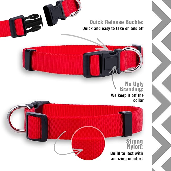 Native Pup Basic Nylon Dog Collar, Adjustable - Image 4