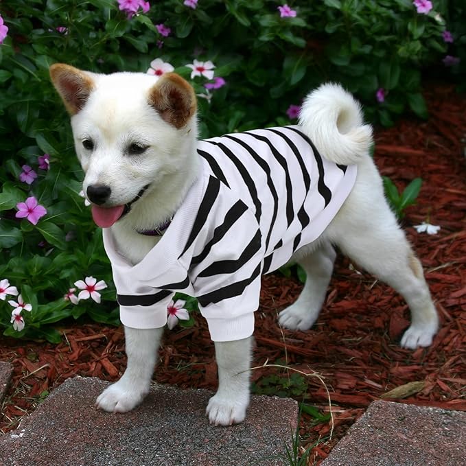 Pet Dog Striped T-Shirt Dogs Cats Cotton Vest Spring Summer Pet Apparel Tee - Image 6