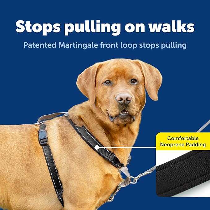 PetSafe 3 in 1 No-Pull Dog Harness - Image 3