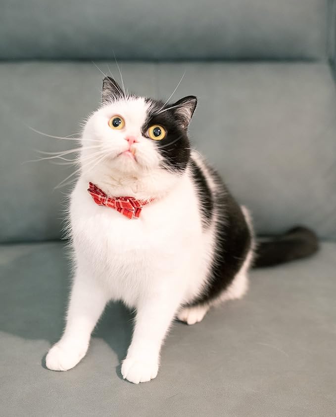 Cat Collar Breakaway Bowtie Safety - Image 2