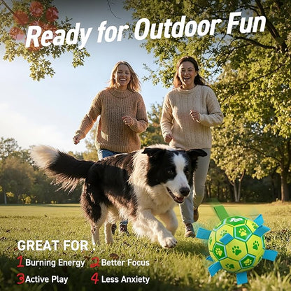 QDAN Dog Toys Soccer Ball, Dog Tug Toy, Water Toy, Durable Balls - Image 5