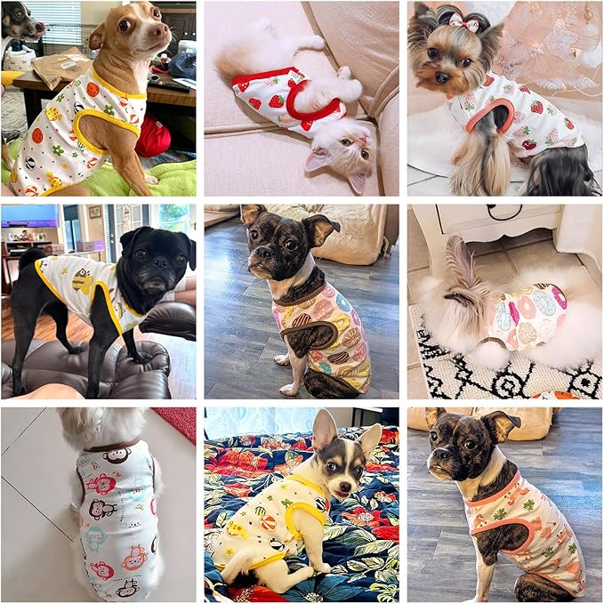 PETCARE Cute Cartoon Cat Shirts - Image 8