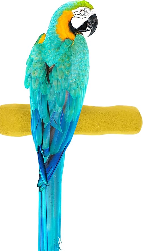 Sweet Feet and Beak Comfort Grip Safety Perch by SweetFeetBeak