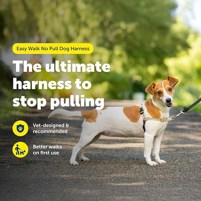 PetSafe Easy Walk No-Pull Dog Harness - Image 2