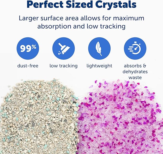 PetSafe ScoopFree Odor Control Crystal Cat Litter, Lavender Scent, 8 Lb Bag - Image 3