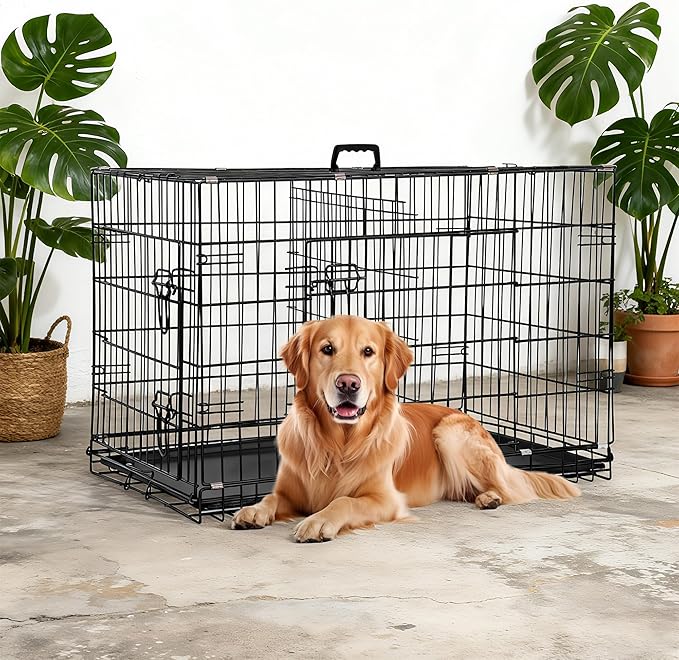 FDW Dog Crate 36-Inch Dog Cage Foldable Metal Kennel - Image 2