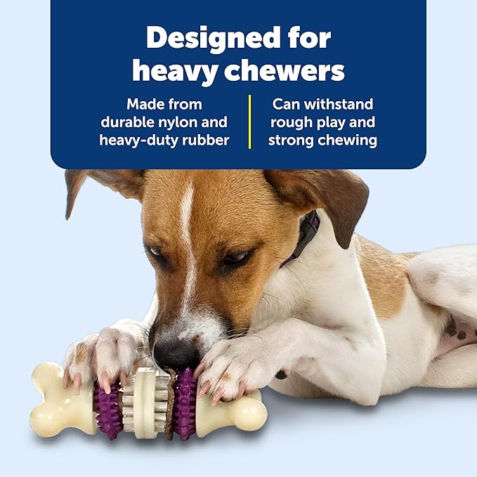 PetSafe Busy Buddy Bristle Bone, Helps Keep Your Dog's Teeth Clean, - Image 4