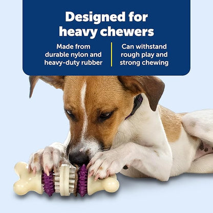 PetSafe Busy Buddy Bristle Bone, Helps Keep Your Dog's Teeth Clean, - Image 4