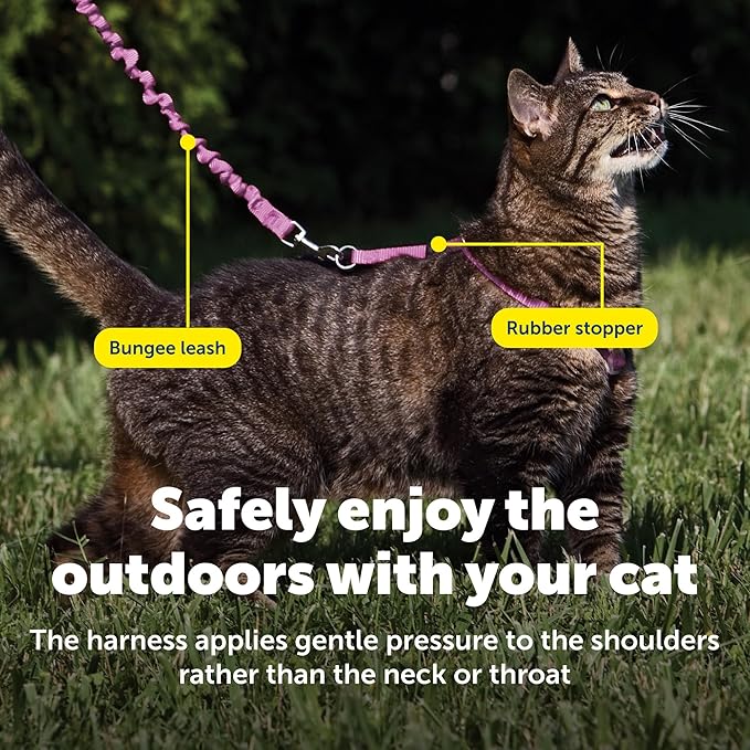 PetSafe Come with Me Kitty Harness and Bungee Leash Adjustable, Lightweight - Image 5