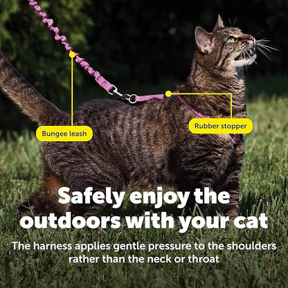 PetSafe Come with Me Kitty Harness and Bungee Leash Adjustable, Lightweight - Image 5