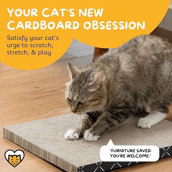 Hide & Scratch Cat Scratcher Pad – 2 Pack | Double-Sided Cardboard Refills - Image 2