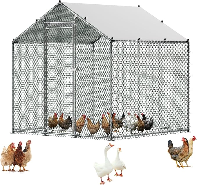 VEVOR Metal Chicken Coop, 6.56x6.56x6.56ft Large Walk-in Chicken Runs by VEVOR