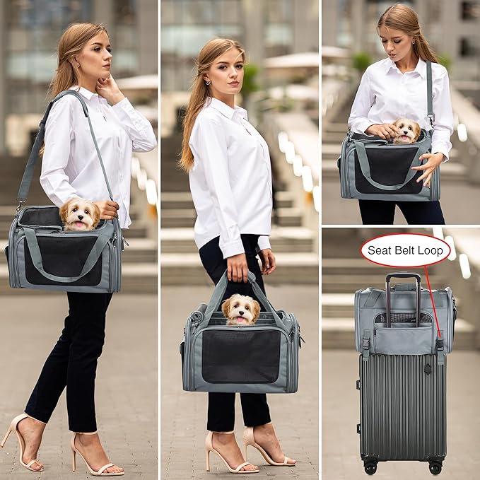 EliteField Deluxe Soft-Sided Pet Carrier, Travel Bag - Image 3