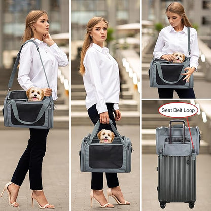 EliteField Deluxe Soft-Sided Pet Carrier, Travel Bag - Image 3