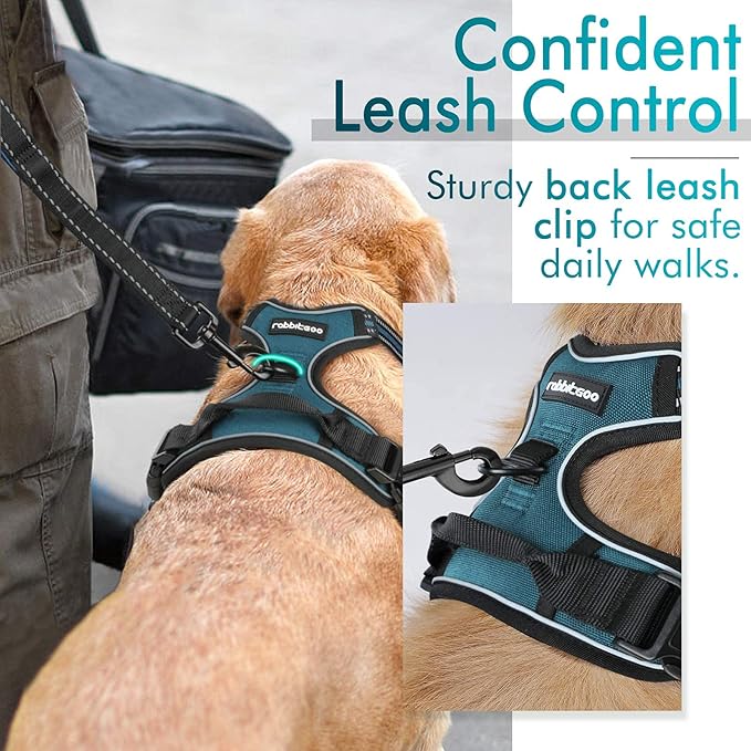 rabbitgoo Dog Harness No Pull - Image 5