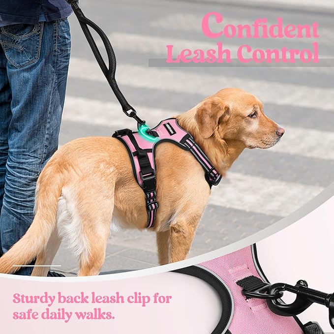rabbitgoo Dog Harness No Pull - Image 6
