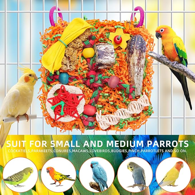 Bird Toys for Small & Medium Parrots - Image 2