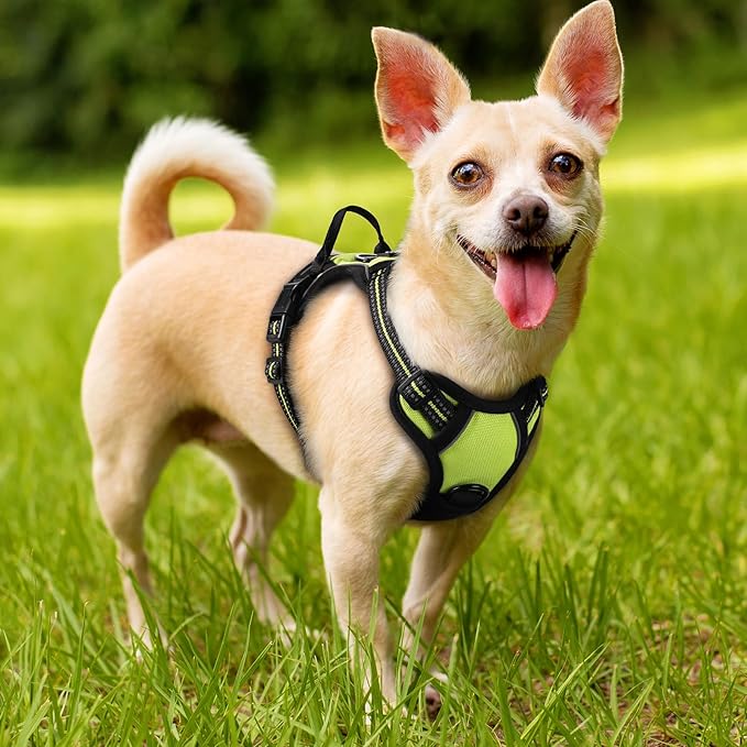 rabbitgoo Dog Harness No Pull - Image 8