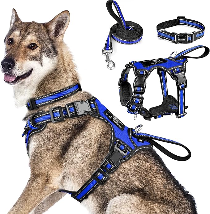 WINSEE All-in-One Reflective Dog Harness, Collar & Leash Set, No Pull by WINSEE