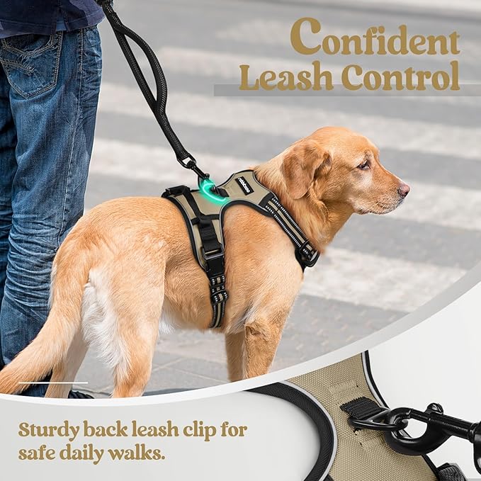 rabbitgoo Dog Harness No Pull - Image 6