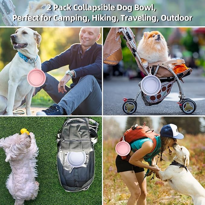 Kytely Collapsible Dog Bowls 2 Pack - Image 2