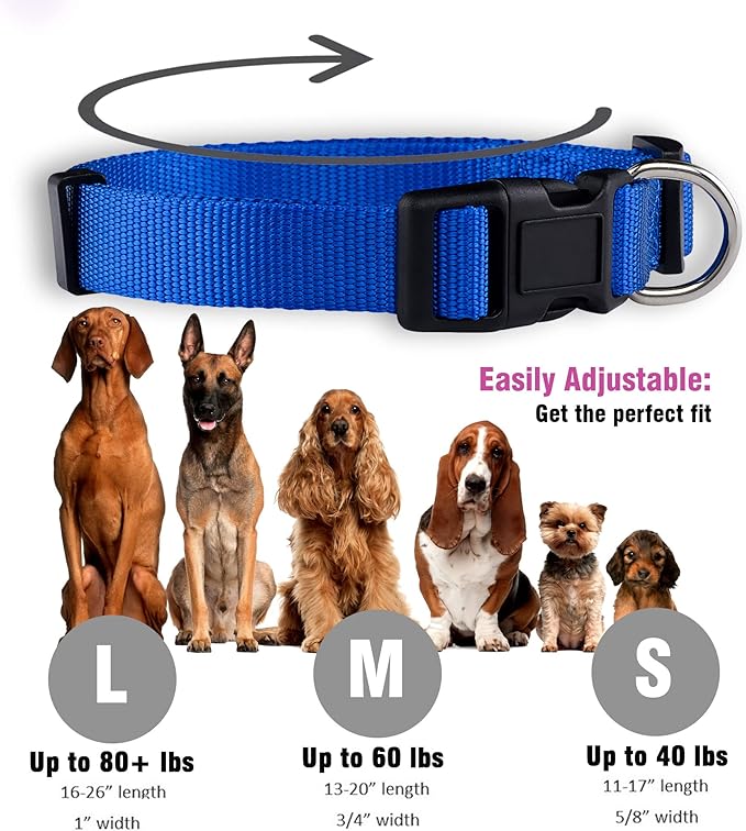 Native Pup Basic Nylon Dog Collar, Adjustable - Image 3