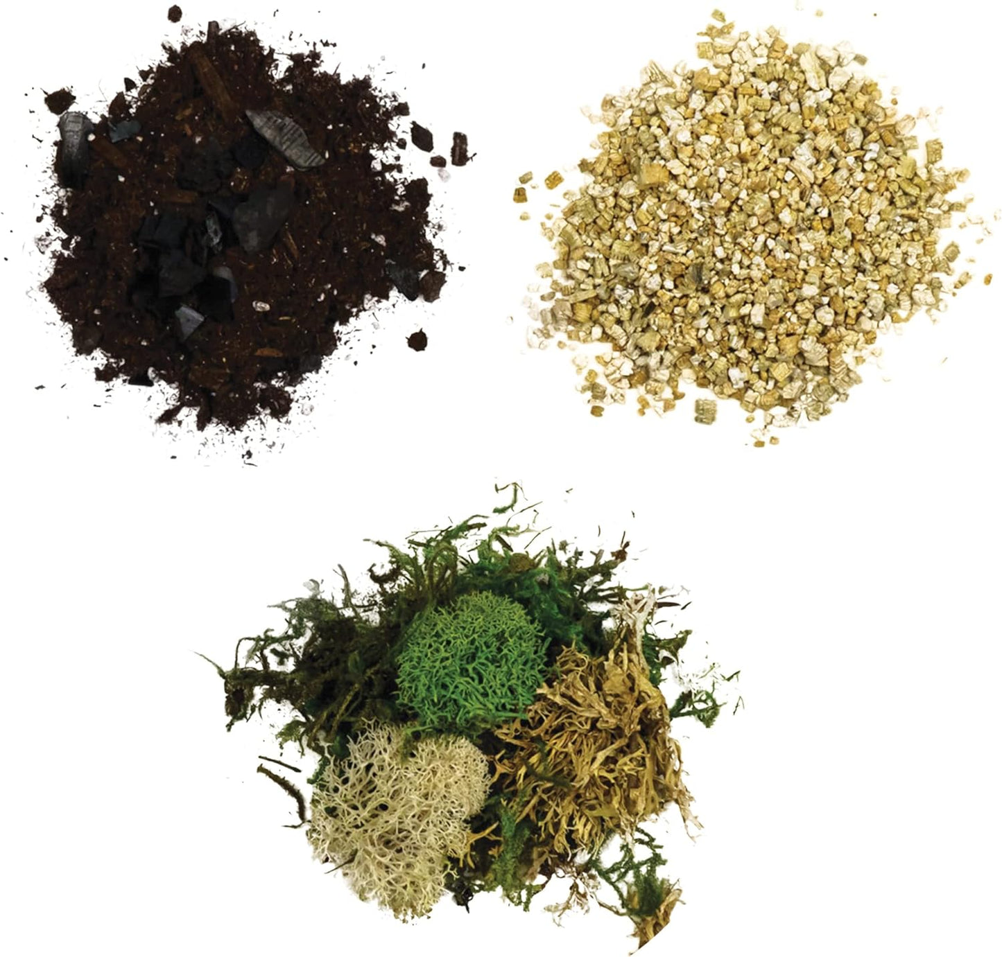 Cute Farms Glass Terrarium Kit | Just Add Your Own Plants (Two Glass Bowls)