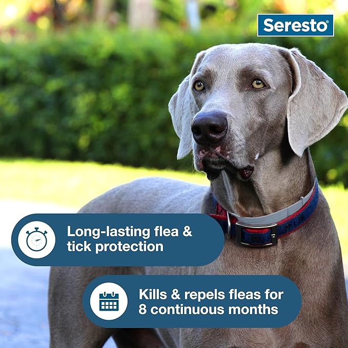 Seresto Large Dog Vet-Recommended Flea & Tick Treatment & Prevention Collar - Image 6