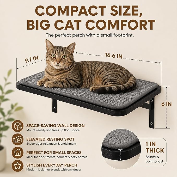 Cat Wall Shelves Set of 2, Wall-Mounted Space-Saving Climbing Bed, Lounging - Image 2