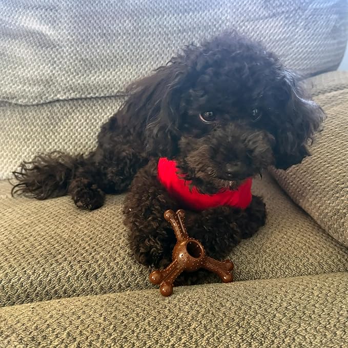 SPOT Bam-Bones Plus Triple Chew Dog Toy, Durable Bamboo Fiber & Nylon, - Image 9