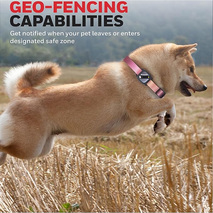 Honeywell Pet Activity Tracker - Image 3