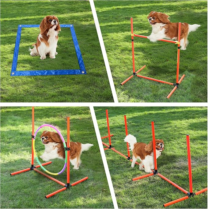 Dog Agility Course Backyard Set, 4 Sets Pet Agility Training Equipment - Image 5