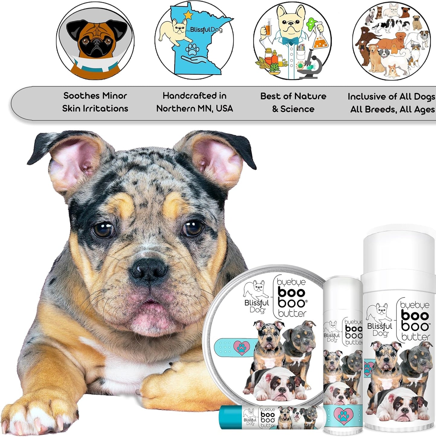 The Blissful Dog 8 oz TIN Olde ENGLISHE Bulldogge Booboo Butter
