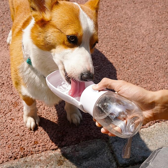 Foldable Dog Water Bottle, Portable Water Dispenser - Image 2