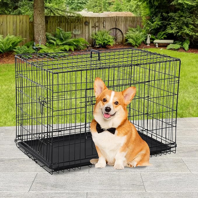 BestPet | Dog Crate | 30" | Black | Foldable Metal Kennel - Image 2