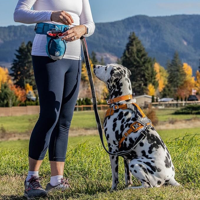 PetSafe 3 in 1 Dog Harness - Image 2