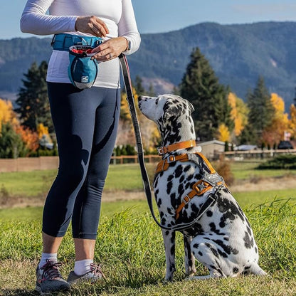 PetSafe 3 in 1 Dog Harness - Image 2
