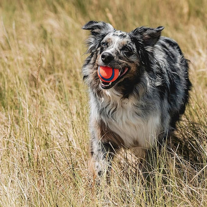 Chuckit! Ultra Ball Dog Toy - Image 4