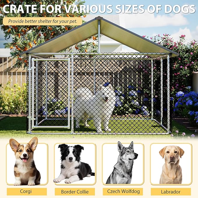 Large Dog Kennel Enclosure - Image 6