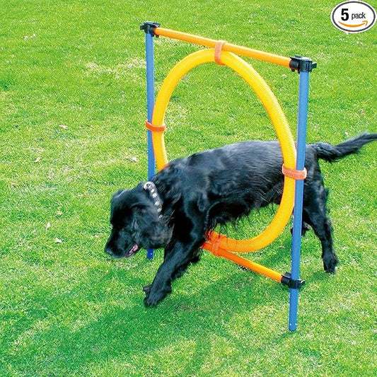 PAWISE Dog Agility Training Equipment, Puppy Agility Kit by PAWISE