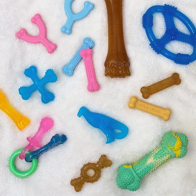 Nylabone Ring Bone Chew Toy for Puppies, Puppy Teething Toys, Puppy Enrichment - Image 4