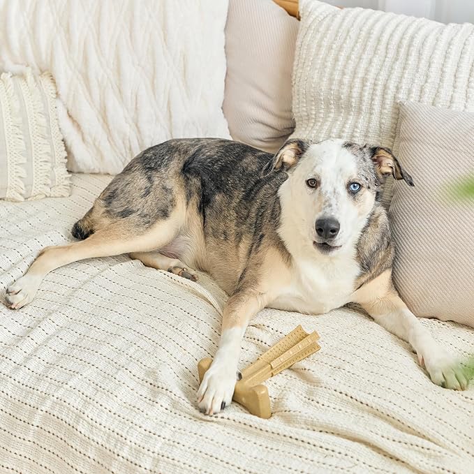SPOT Bam-Bones Plus T-Bone, Bamboo Fiber & Nylon Dog Chew, Durable - Image 12