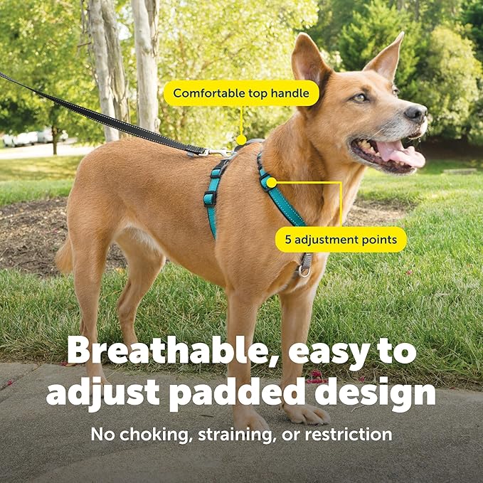 PetSafe 3 in 1 No-Pull Dog Harness - Image 4